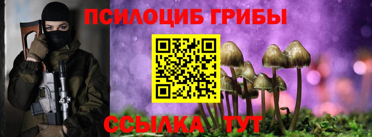 Галлюциногенные грибы ЛСД Тара