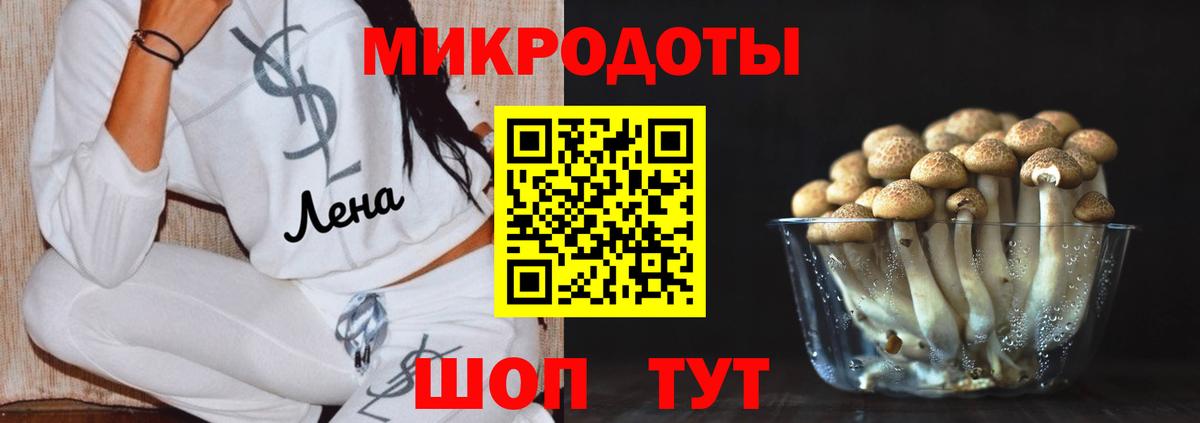 Псилоцибиновые грибы Psilocybe  Галлюциногенные грибы мицелий  Тара  Вход с VPN 